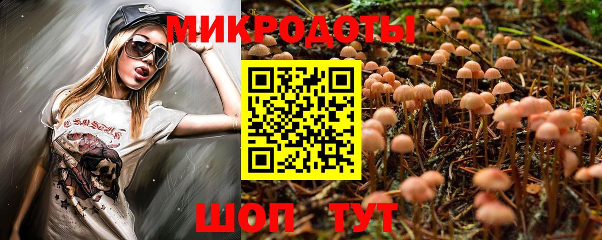Псилоцибиновые грибы Psilocybe Рассказово