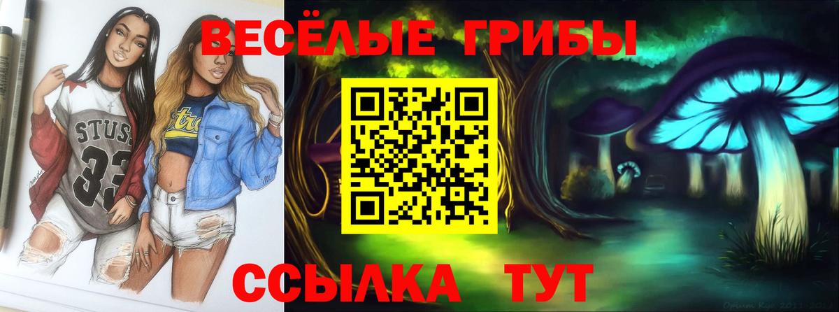 Галлюциногенные грибы мухоморы  купить наркоту  Рассказово  Псилоцибиновые грибы Cubensis  Вход с VPN 