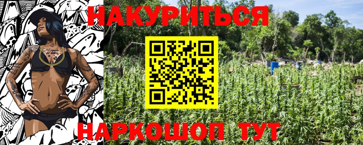 Бошки Шишки ГИДРОПОН Рассказово